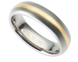 Titanium and Gold Ring on The Online Gifts Company